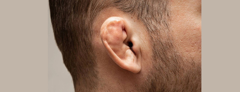 Tìm hiểu vành tai có tác dụng gì với cơ thể? 3