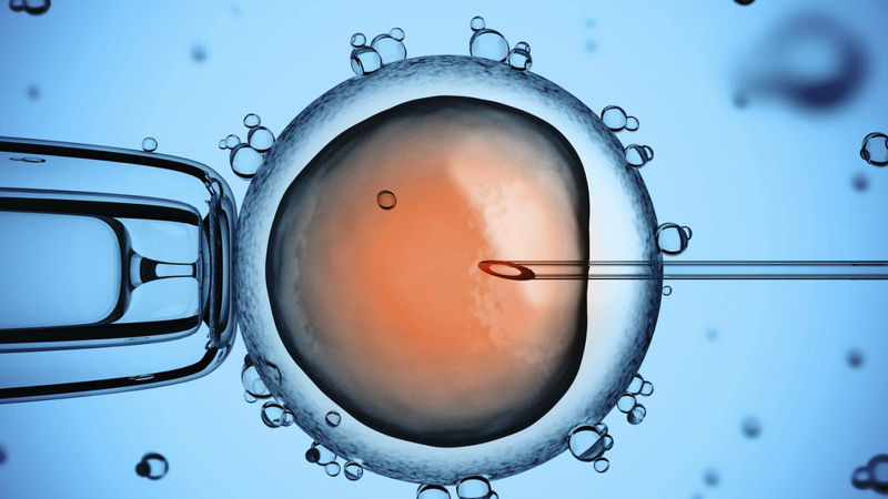 Tìm hiểu về IVF và các xét nghiệm trước khi làm IVF 3