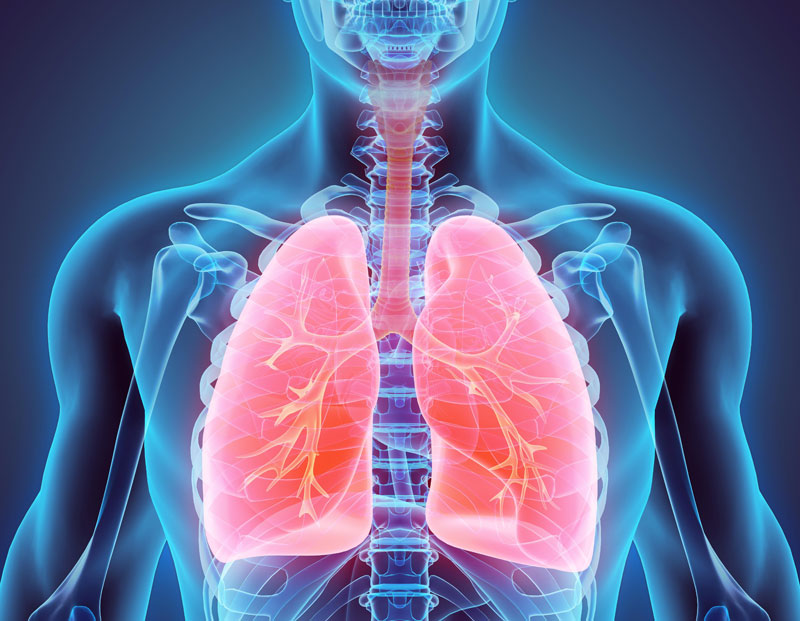 Tìm hiểu về phổi, chức năng của phổi và các bệnh lý thường gặp1