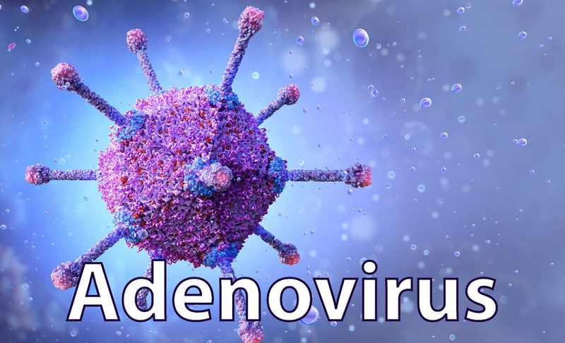 Tìm hiểu virus Adeno là gì? Virus Adeno gây ra những bệnh nào? 1