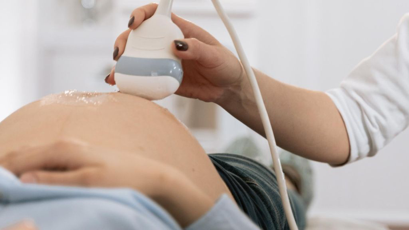 Tim thai là gì? Dấu hiệu tim thai khỏe mạnh và bất thường mà cha mẹ nên biết 2