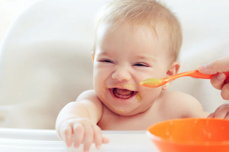 Tôm nấu cháo gì cho bé? Gợi ý 7 món cháo cực bổ dưỡng từ tôm 1