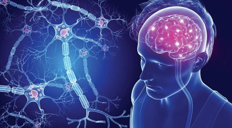 Tổn thương thần kinh mác: Dấu hiệu nhận biết và biện pháp chẩn đoán 2