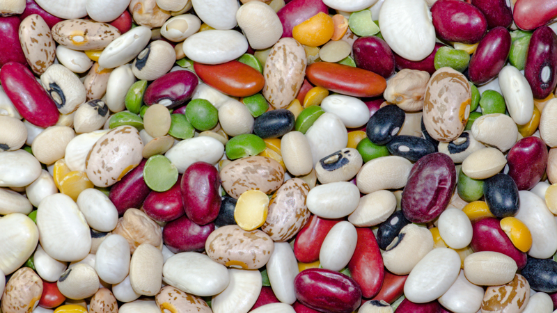 Top 7 loại bột protein giảm cân hiệu quả nhất hiện nay 2