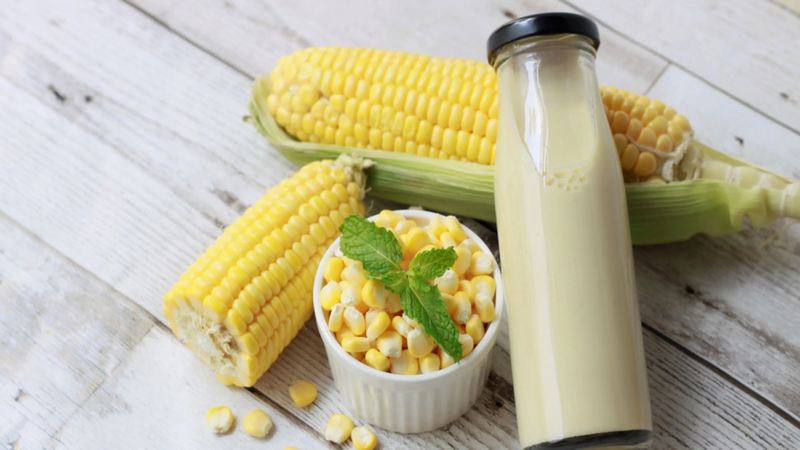  Top các loại sữa hạt tăng cân hiệu quả và tốt cho sức khỏe 2