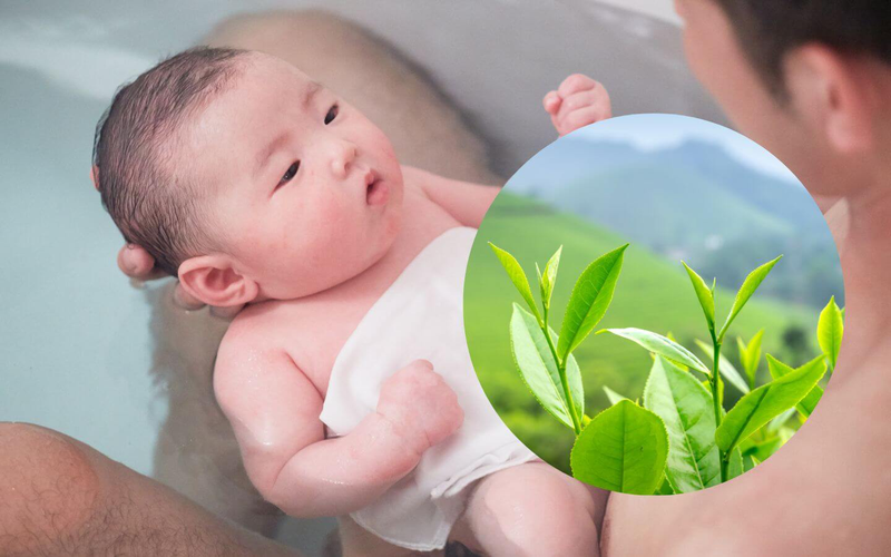 Trẻ bị chàm sữa tắm lá gì cho an toàn và hiệu quả? Tắm lá đúng cách cho trẻ bị chàm sữa 3