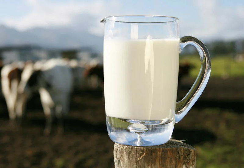 Trẻ bên trên 1 tuổi hạc nên húp sữa tươi tỉnh hoặc sữa bột 2