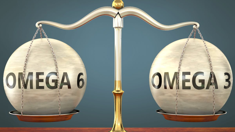 Tỷ lệ Omega 3 và Omega 6 bao nhiêu là cân đối? 4