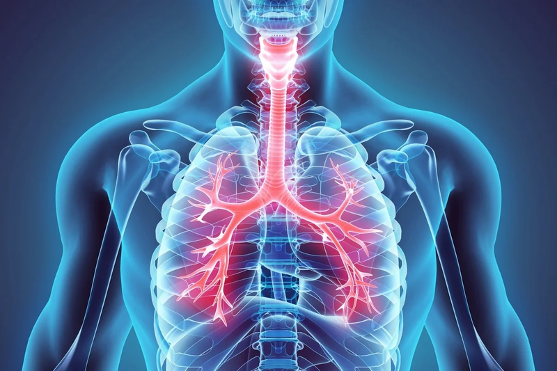 Ứng dụng thở khí dung trong điều trị các bệnh đường hô hấp 3