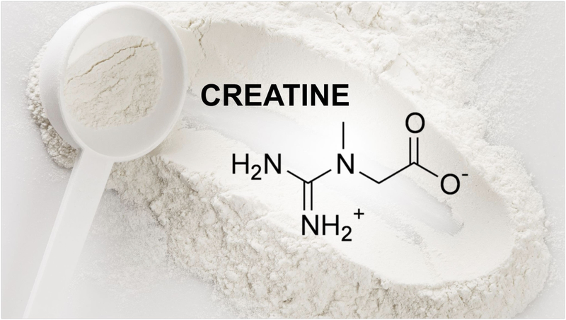 Uống creatine gây rụng tóc có đúng hay không? 1