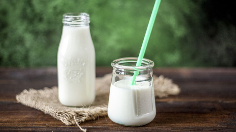 Uống sữa thay nước có tốt cho sức khỏe? 3