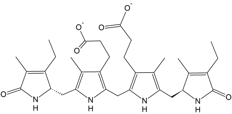 urobilinogen-trong-nuoc-tieu-la-gi 1