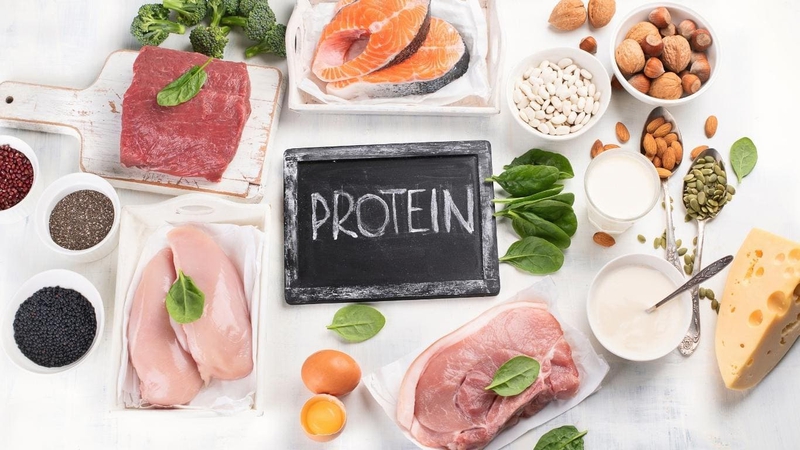 Vai trò của protein trong sự hình thành cơ bắp 1