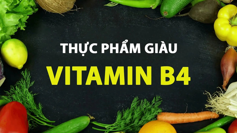 Vai trò của Vitamin B4 đối với sức khỏe con người 3