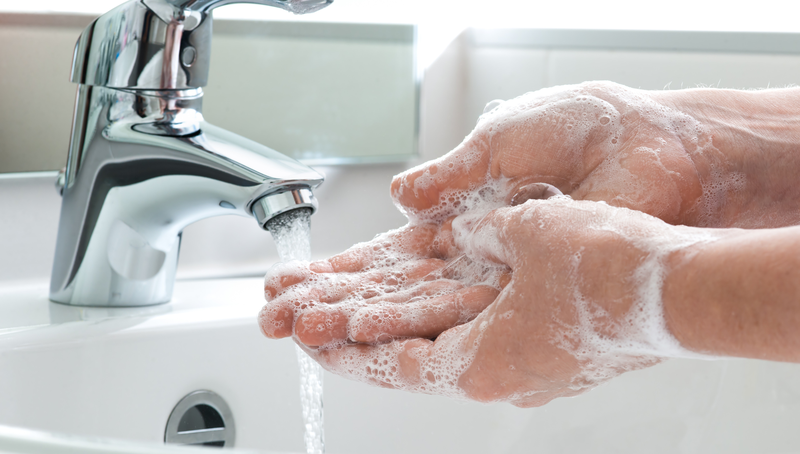 Vật chủ là gì? Danh sách những căn bệnh phổ biến do ký sinh trùng gây ra 2