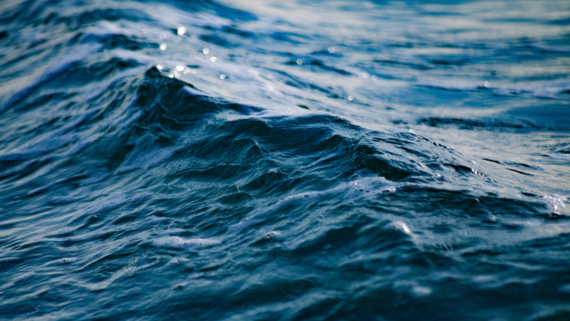 Vi khuẩn Vibrio Vulnificus gây bệnh gì và lây như thế nào? 3