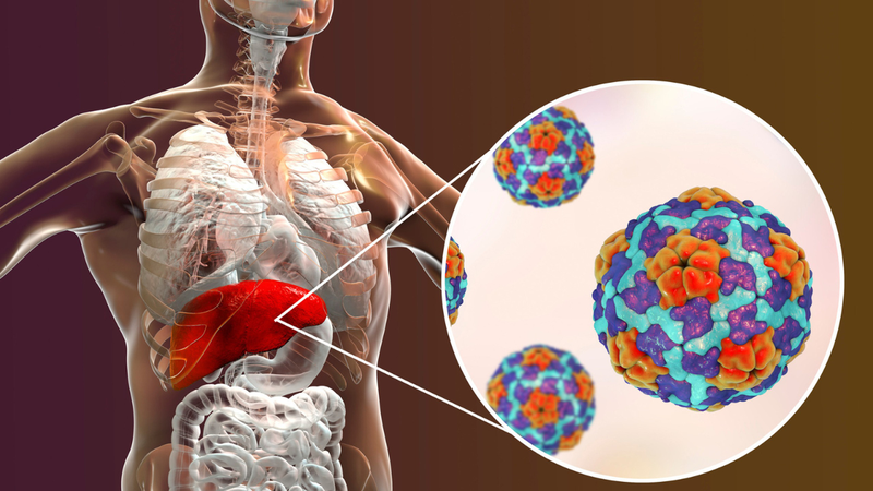 Viêm gan virus B mạn không có tác nhân delta là gì? Điều trị và phòng ngừa 1