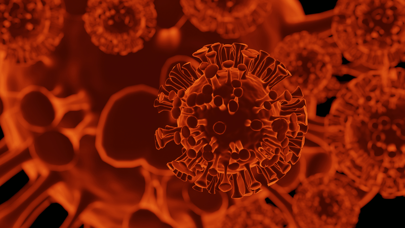 Virus cúm gia cầm H5N1 hiện đại thích nghi để ngăn chặn phản ứng miễn dịch 3