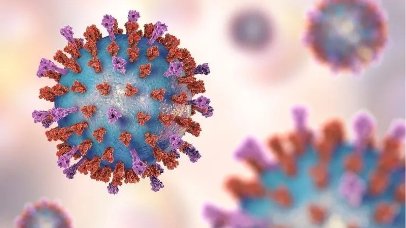 Virus hợp bào hô hấp (RSV) là gì? Loại virus này nguy hiểm như thế nào? 1
