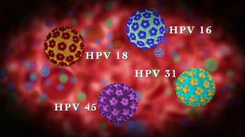 Virus HPV có lây qua nước bọt không? Những con đường lây nhiễm HPV 1