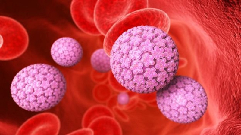 Virus HPV có lây qua nước bọt không? Những con đường lây nhiễm HPV 2