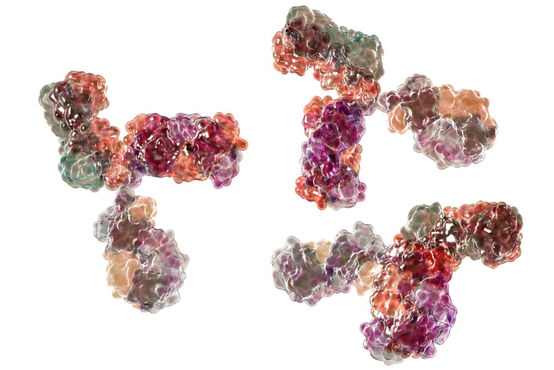 Virus O'nyong-nyong là gì? Đặc điểm cấu tạo của virus O'nyong-nyong 1