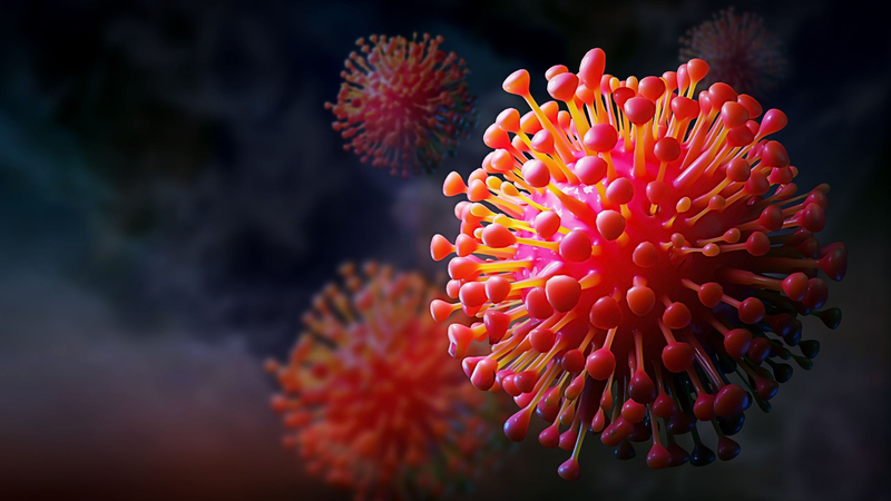 Virus RSV ở trẻ sơ sinh: Những điều cần biết 3