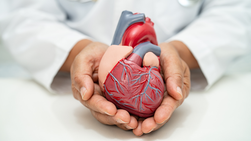 Vitamin B6 là gì? Vai trò và công dụng đối với sức khỏe mà bạn nên biết 3