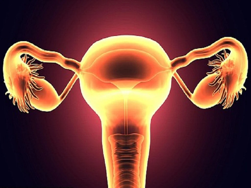 Vô sinh do không có tử cung có điều trị và phòng ngừa được không? 3