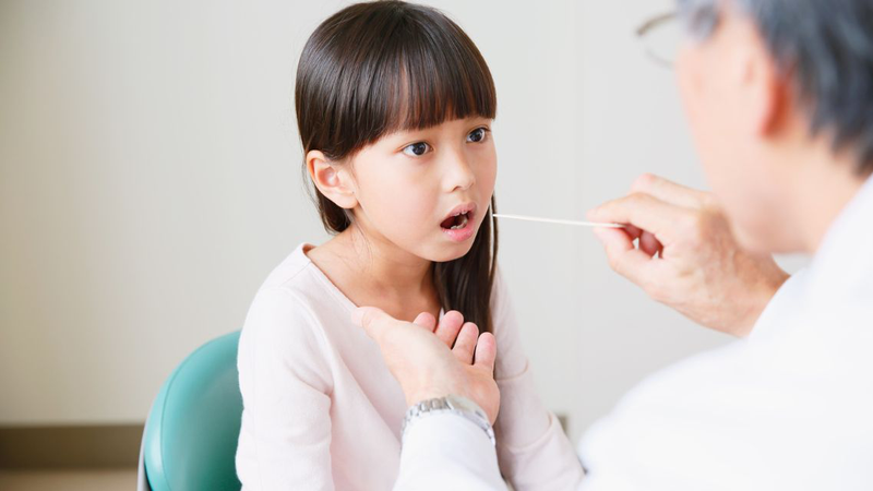 Vòm họng đảm nhận những chức năng quan trọng trong hoạt động sống