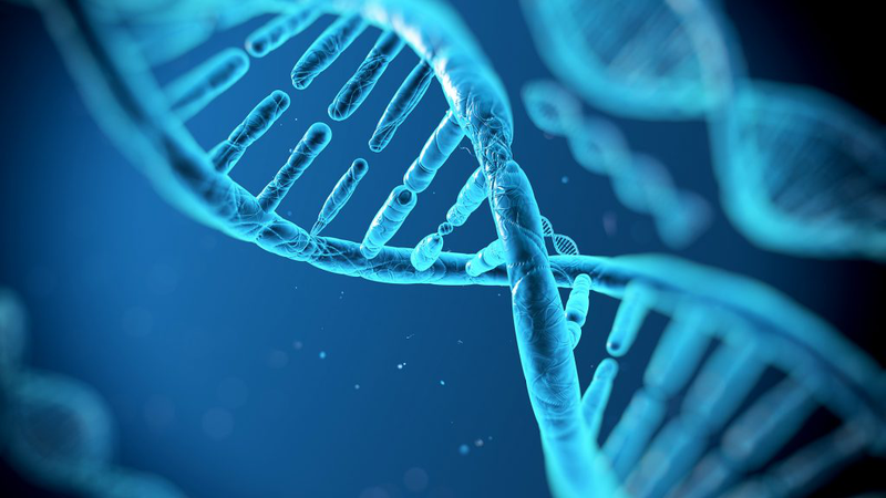 Xét nghiệm ADN có khi nào sai không - Bác sĩ nói gì? 1