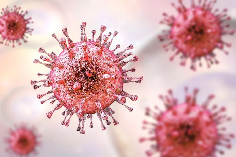 Xét nghiệm CMV phát hiện bệnh do virus Cytomegalo gây ra 1