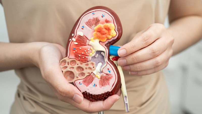 Xét nghiệm độ thanh thải Creatinin được dùng để chẩn đoán sớm các bệnh lý về thận