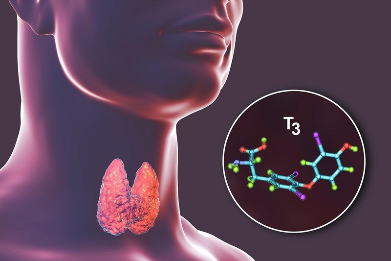 Xét nghiệm hormon tuyến giáp có vai trò gì trong chẩn đoán các bệnh về tuyến giáp? 1