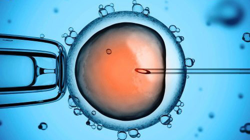 Xin trứng làm IVF ở đâu? Cần chuẩn bị gì trước khi xin trứng? 4