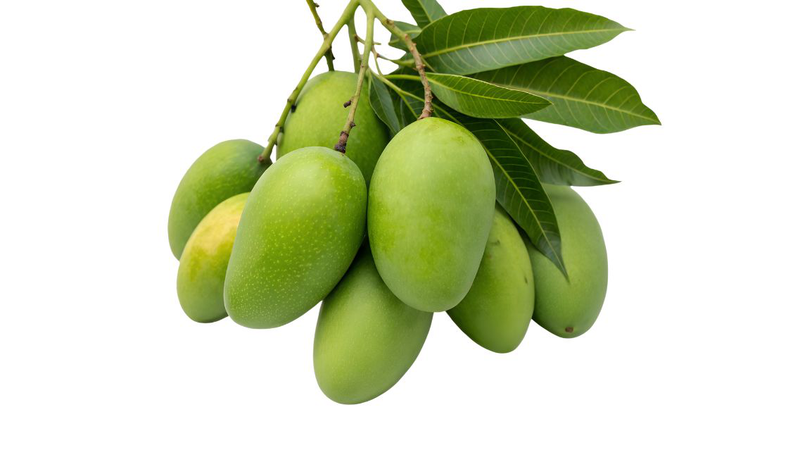 eo: Giá trị dinh dưỡng và 7 lợi ích sức khỏe ít người biết 1