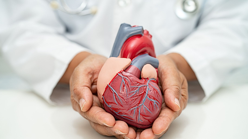 Xôi bắp gần như không chứa cholesterol xấu