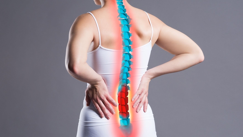 Ăn xôi bắp đều đặn với khẩu phần hợp lý có thể giúp cơ bắp dẻo dai hơn