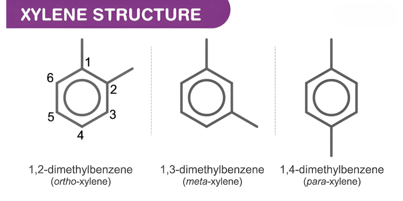 Xylene là gì? Tác hại và các biện pháp bảo vệ sức khỏe 1