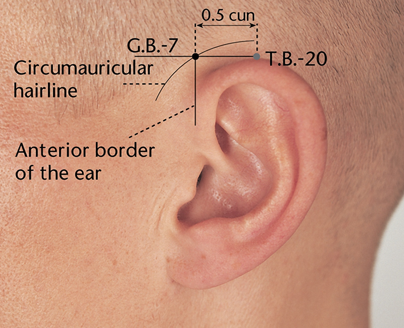 Tìm hiểu về huyệt giác tôn2