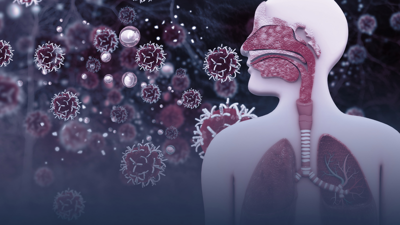 Human Metapneumovirus là gì​? Cách phòng tránh nó hiệu quả 1