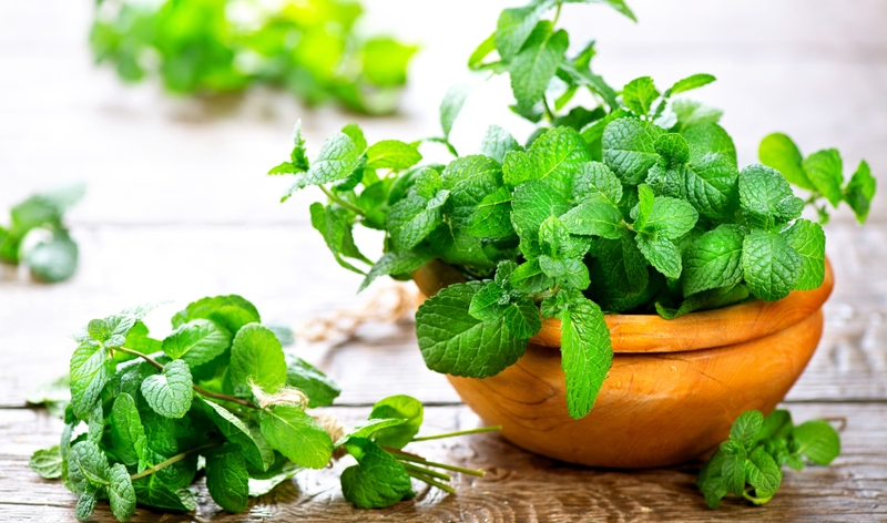 hung-chanh-va-bac-ha-dac-diem-cong-dung-va-cach-phan-biet 2.jpg