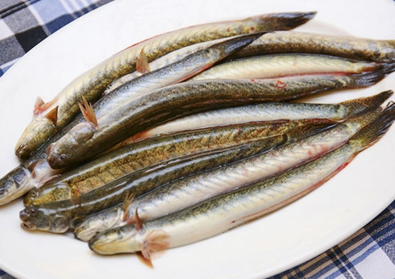 Hướng dẫn 2 cách nấu cháo cá kèo cho bé ăn dặm vừa nhanh vừa ngon1