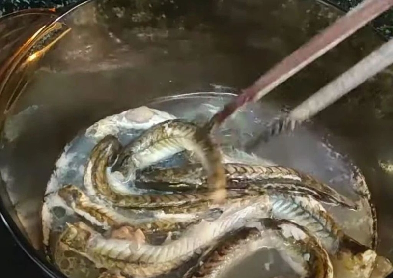 Hướng dẫn 2 cách nấu cháo cá kèo cho bé ăn dặm vừa nhanh vừa ngon2