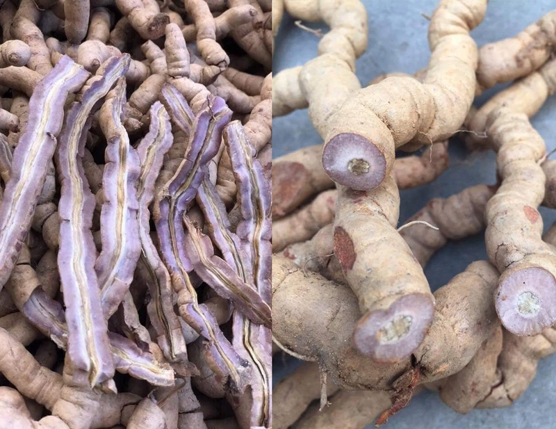 Hướng dẫn 5 bài thuốc ngâm rượu tăng cường sinh lý đơn giản và hiệu quả nhất 4