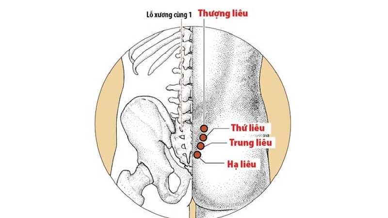 Huyệt Thứ Liêu