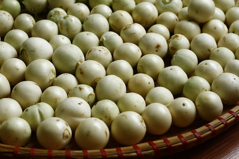 Hướng dẫn cách bảo quản cà pháo chưa muối đơn giản, dễ làm 3