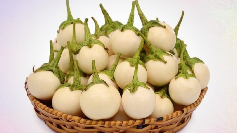 Hướng dẫn cách bảo quản cà pháo chưa muối đơn giản, dễ làm 1