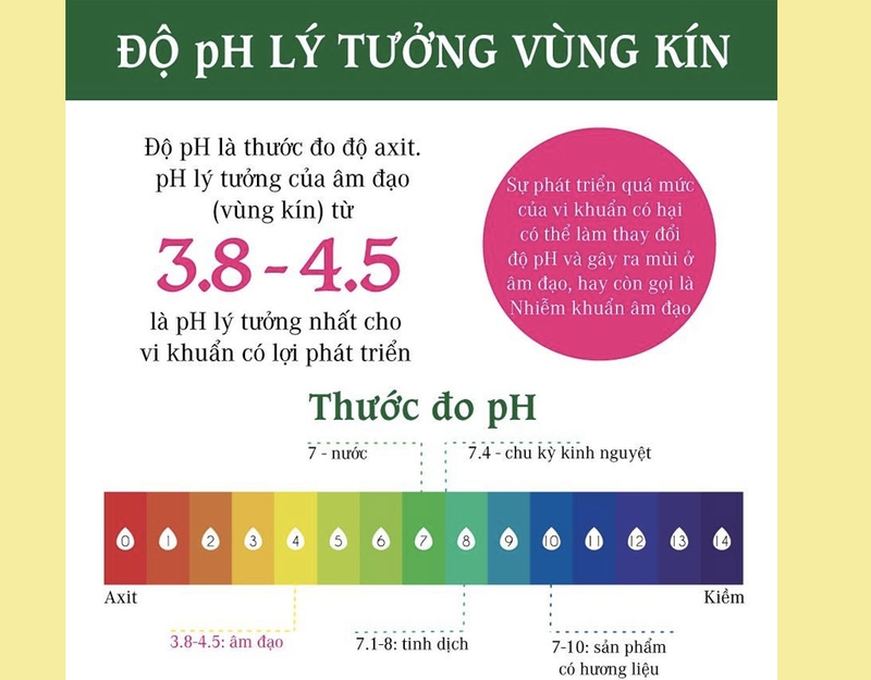 Độ pH âm đạo là thước đo độ axit của vùng kín