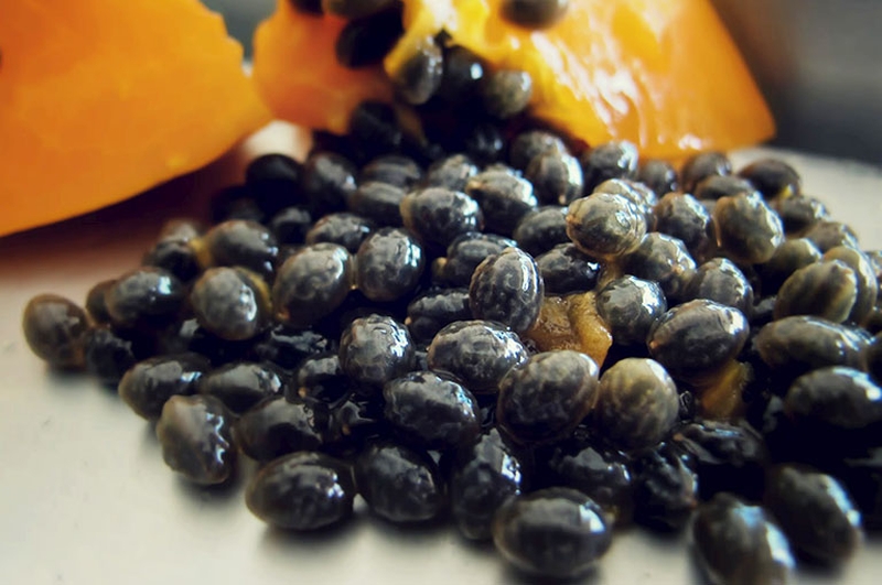 Hướng dẫn cách chữa gai gót chân bằng hạt đu đủ 1